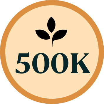 Has successfully delivered and supported Totara sites with more than 500,000 users.